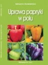 Uprawa papryki w polu