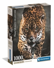 Puzzle 1000 Walk Of The Jaguar