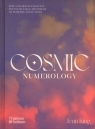 Cosmic Numerology How to Harness Your Full Potential Using the Power of King Jenn