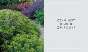 Suchy ogród. Lekcje z Ogrodu Żwirowego Beth Chatto - Beth Chatto
