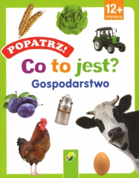 Popatrz! Co to jest? Gospodarstwo - Praca zbiorowa