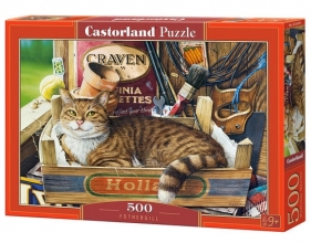 Puzzle Fothergill 500