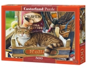 Puzzle Fothergill 500