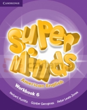Super Minds Am English level 6 WB