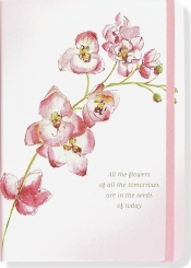 Notatnik Mini Orchidea - <br />