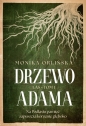 Las. Tom 1. Drzewo Adama - Monika Orlińska