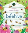 Peep Inside a Beehive (Board book) Anna Milbourne