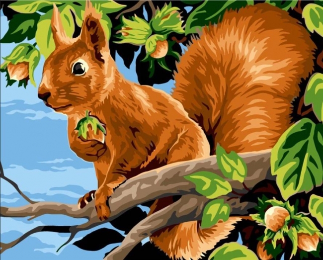 <img src='https://webimage.pl/pics/478/0/d5902927320016.jpg' style='height:440px' /> Malowanie po numerach 40x50cm Wiewiórka z...