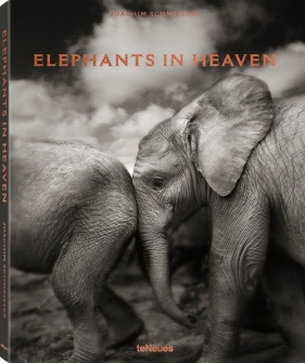 Elephants in Heaven - Schmeisser Joachim