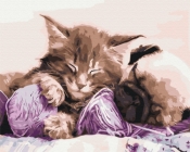 Obraz Paint it! Malowanie po numerach. Kot i pies (BS31170)