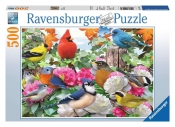 Ravensburger, Puzzle 500: Ogrodowe ptaki (12000147)