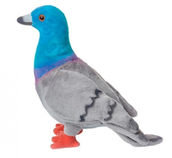 Maskotka Gołąb miejski 20cm (14028)