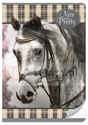 ZESZYT A5/60k. Linia