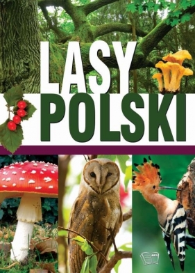 Lasy Polski - Giermek Ewa