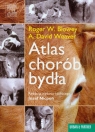 Atlas chorób bydła