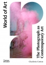 The Photograph as Contemporary Art wer. angielska Charlotte Cotton