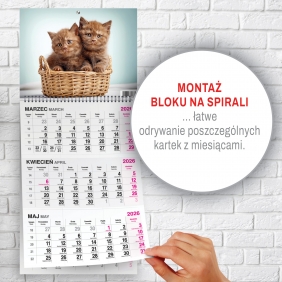 Kalendarz trójdzielny spirala - Koty