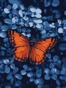 Malowanie po numerach - Światło wśród ciemności