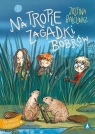 Na tropie zagadki bobrów Justyna Balcewicz