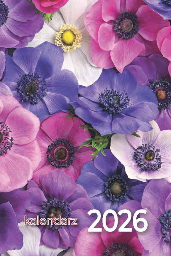 <img src='https://webimage.pl/pics/482/2/d5905525862056-5.png'>