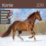 Kalendarz wieloplanszowy Konie 30x30 2019