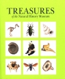  Treasures of the Natural History Museum