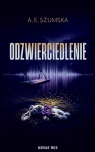  Odzwierciedlenie