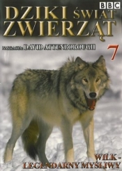 Wilk: Legendarny myśliwy