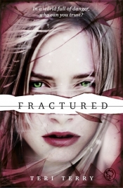Fractured - Terry Teri