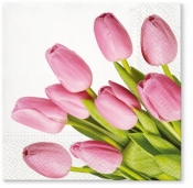 Serwetki Paw Lovely Tulips - mix 33 x 33 cm (TL703600)