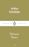 Dream story Schnitzler Arthur