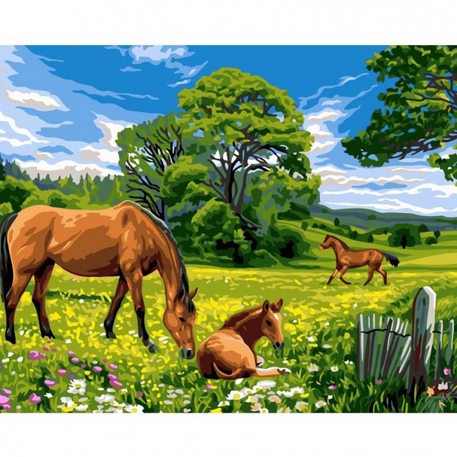 <img src='https://webimage.pl/pics/484/0/d5902927320030.jpg' style='height:440px' /> Malowanie po numerach 40x50cm Konie na łące