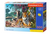 Puzzle Castorland 300 elementów - Tiger Sanctuary (B-030484)