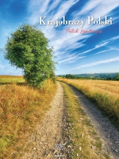 Kalendarz ścienny mały spirala 2026 - Krajobrazy Polski