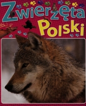 Zwierzęta Polski - <br />
