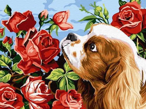 Malowanie po numerach 30x40cm Piesek i róże