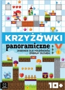 Krzyżówki panoramiczne. Zadania dla miłośników zabawy słowem