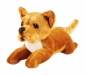 Pies Staffordshire Bull Terrier