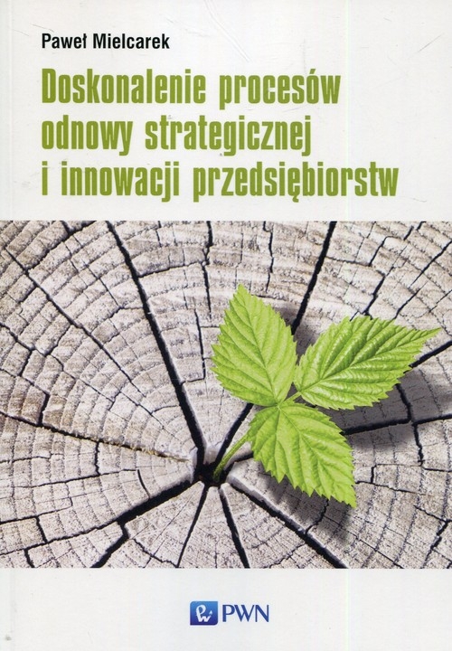 Doskonalenie procesów odnowy strategicznej i innowacji przedsiębiorstw