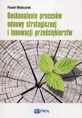 Doskonalenie procesów odnowy strategicznej i innowacji przedsiębiorstw - Mielcarek Paweł
