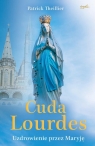 Cuda Lourdes Uzdrowienie przez Maryję Patrick Theillier