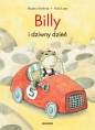 Billy i dziwny dzień - Birgitta Stenberg, Mati Lepp