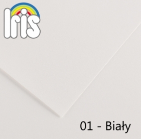 Karton iris a4 185g 50ark.01-biały 200040152 - Polska Fila