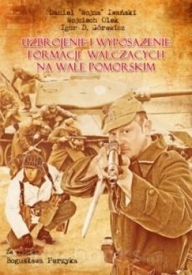 Wał Pomorski 1945 Uzbrojenie i wyposażenie walczących formacji