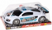 Auto policja