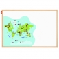Tablica edukacyjna MEMOBE Animal adventure! 60x40 cm