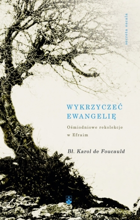 Wykrzyczeć Ewangelię - Karol de Foucauld