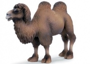 SCHLEICH WIELBŁĄD DWUGARBNY