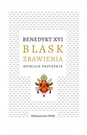 Blask zbawienia - Benedykt XVI