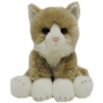 Maskotka Fluffy Fam - Kot Coon 30 cm